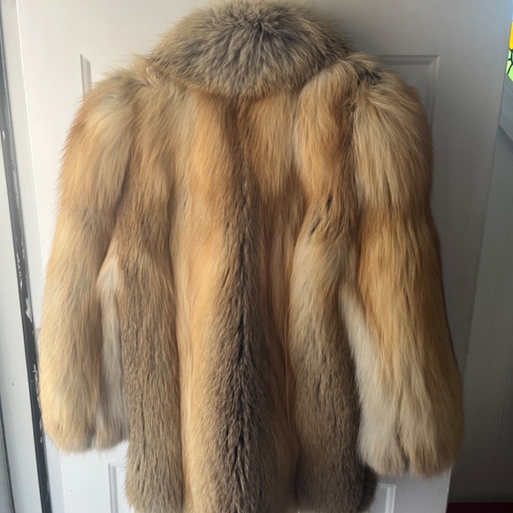 Beautiful Golden island fox coat - Picture 2 of 16